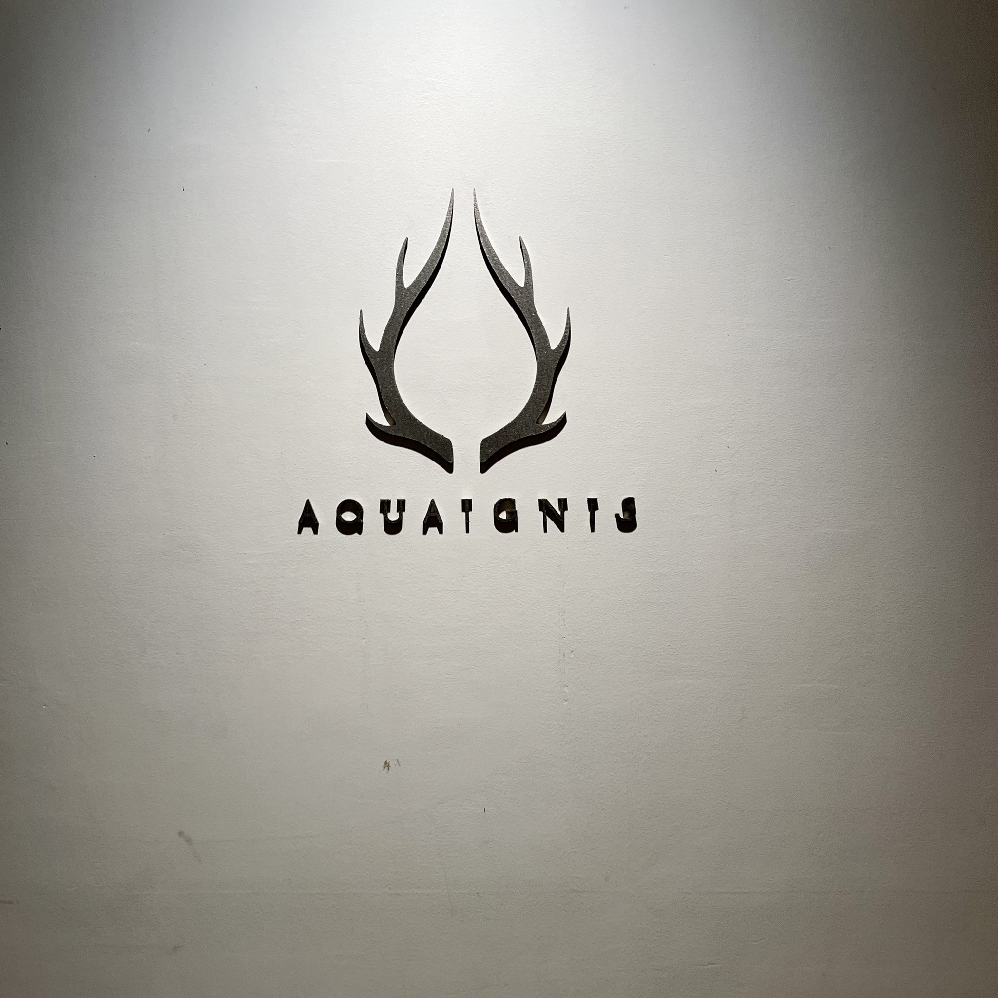 aquaignis.jpg